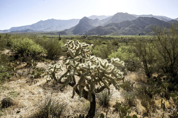 Catalina State Park marks 30th birthday Saturday
